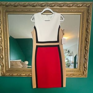 Calvin Klein Scuba Color Block Dress